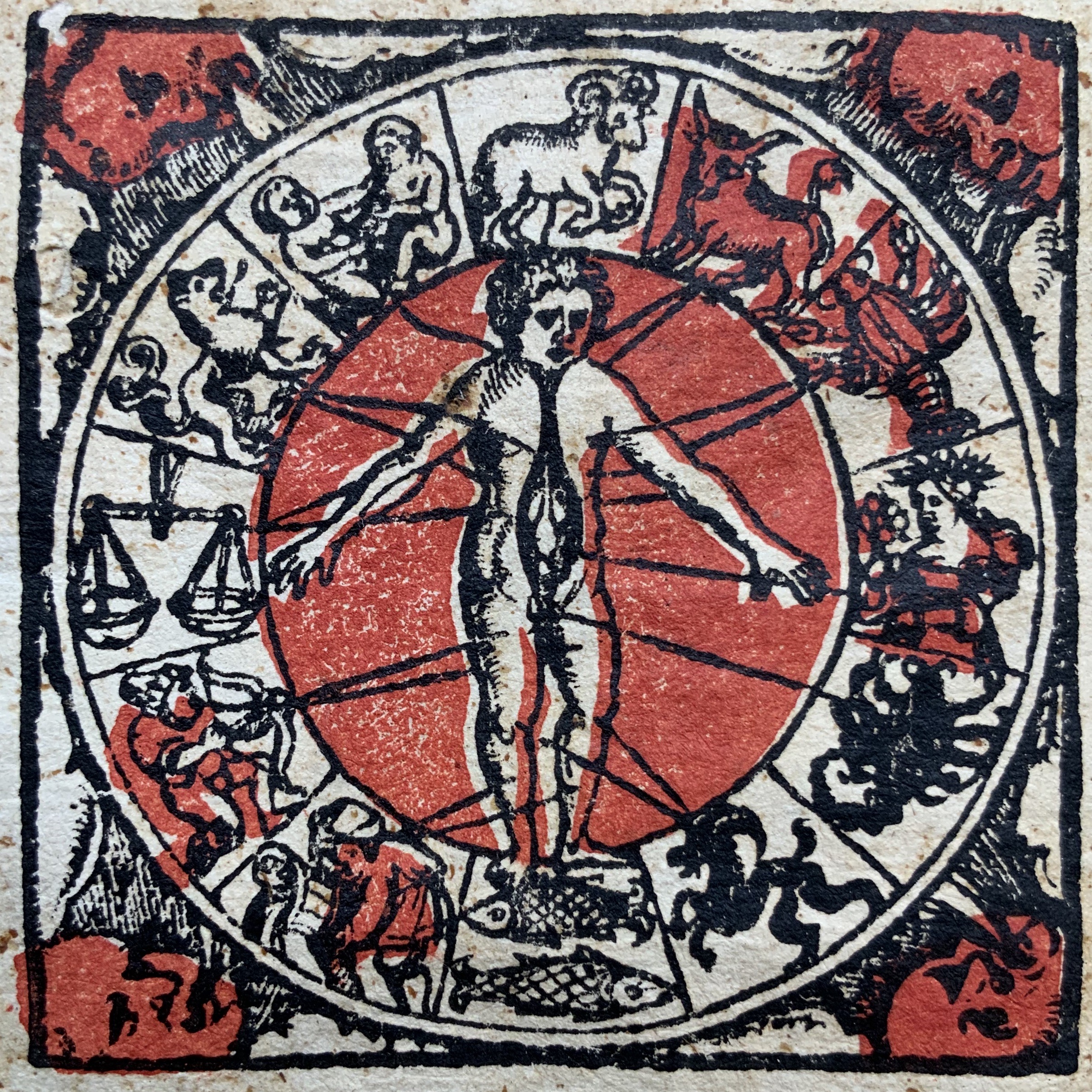 Red-and-black printed Zodiac Man in a celestial wheel; detail from an annual calendar for the year 1541.